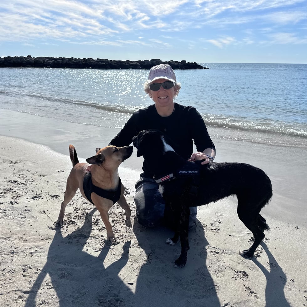 Photo in Sitter's gallery