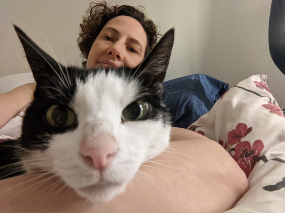 Photo in Sitter's gallery