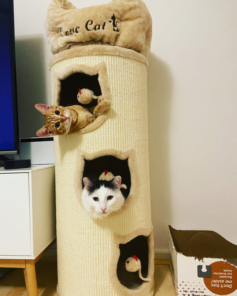 Photo in Sitter's gallery