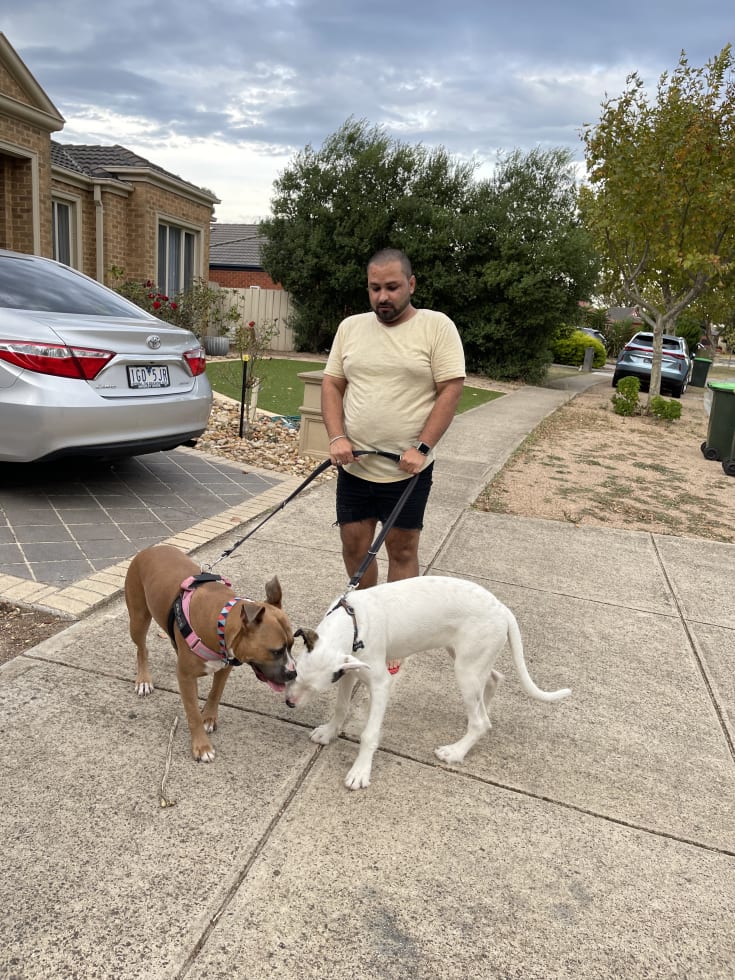 Photo in Sitter's gallery