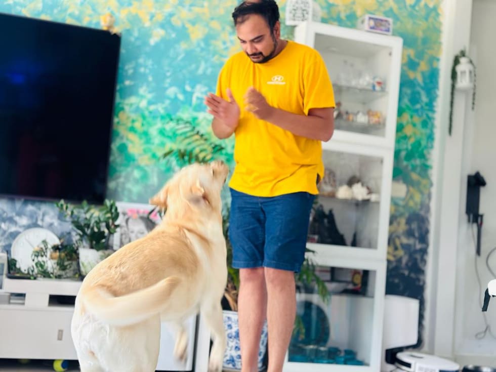 Photo in Sitter's gallery