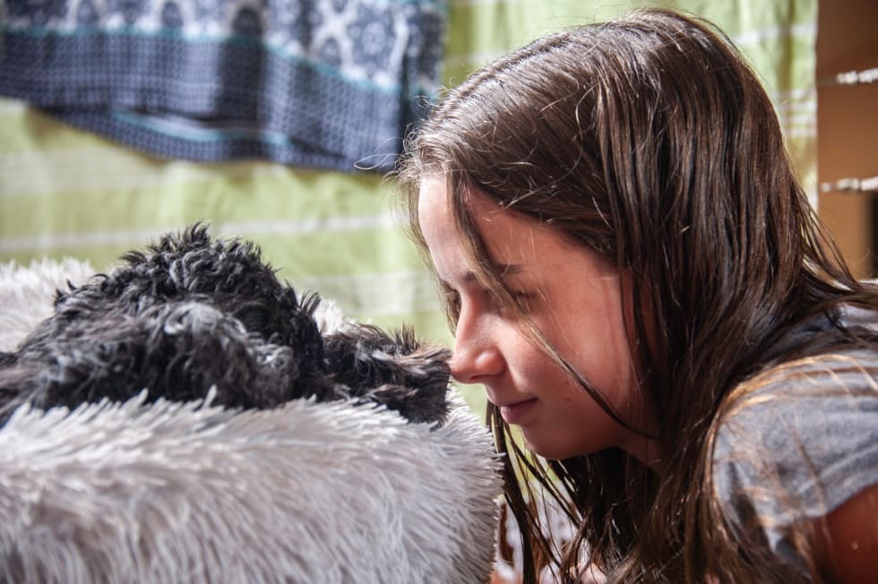 Photo in Sitter's gallery