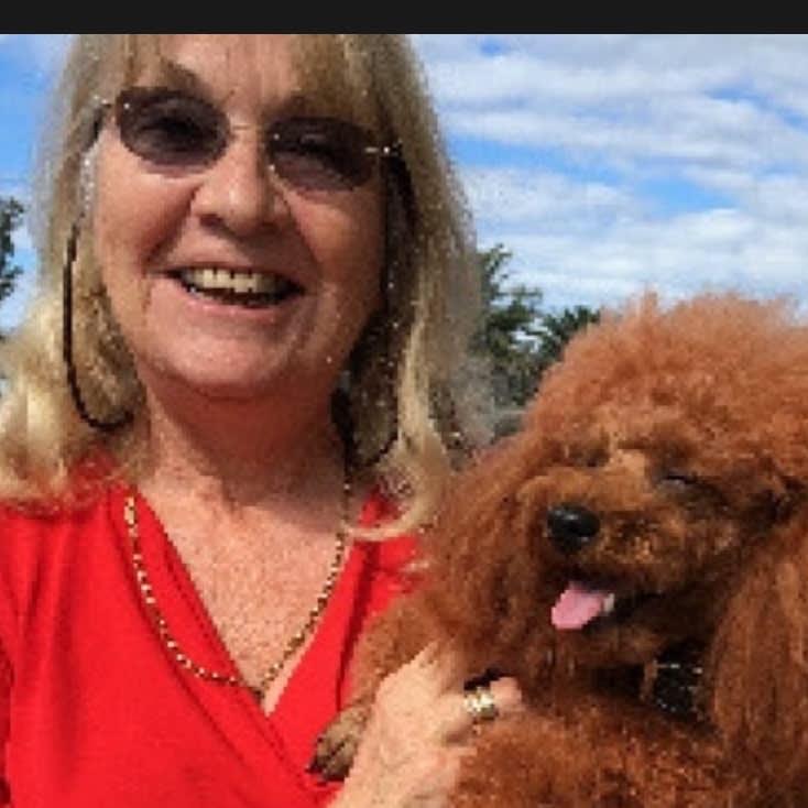 Photo in Sitter's gallery