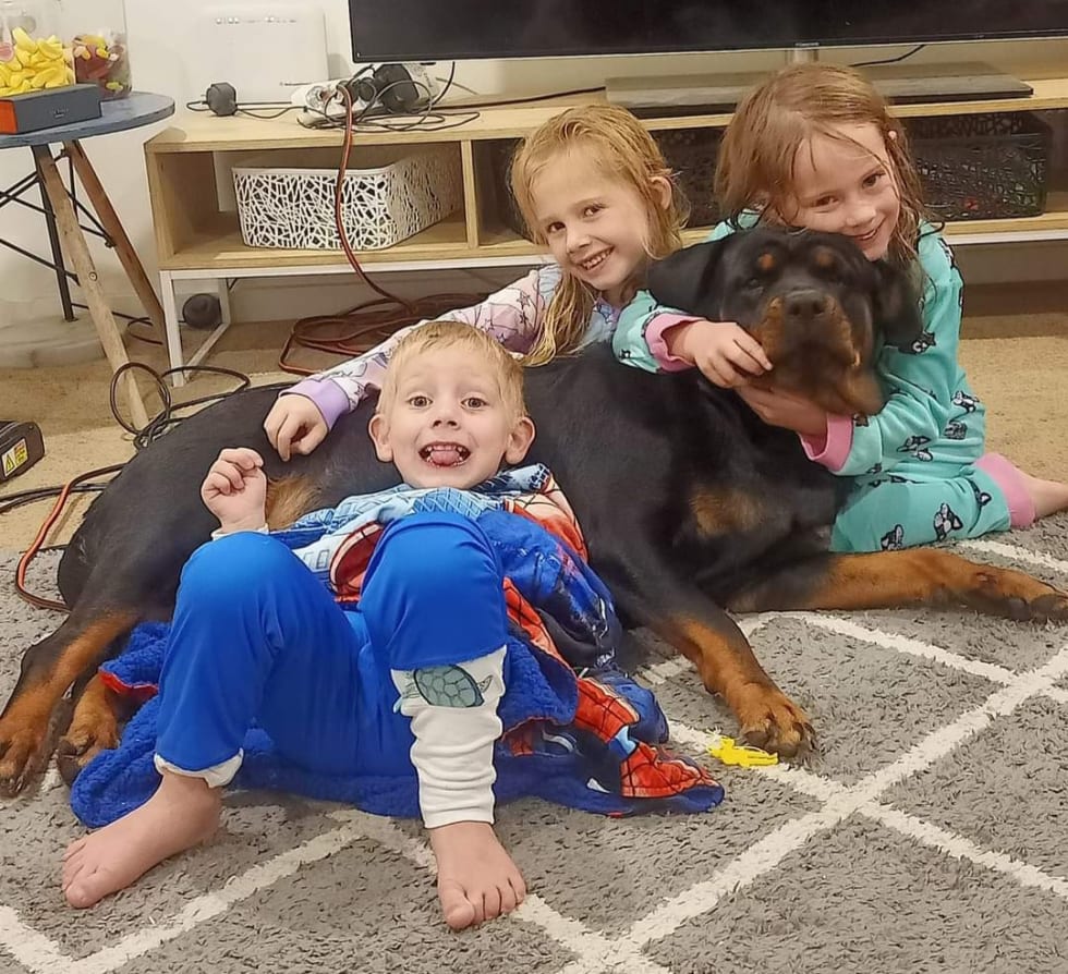 Photo in Sitter's gallery