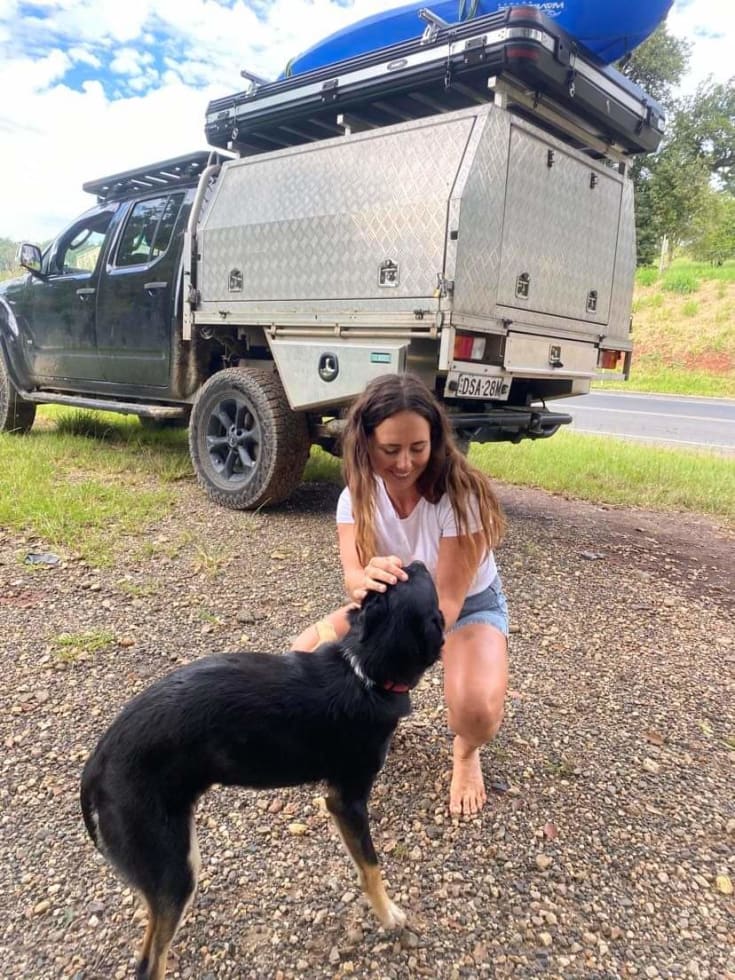 Photo in Sitter's gallery