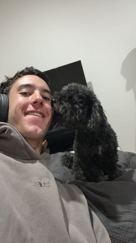 Photo in Sitter's gallery