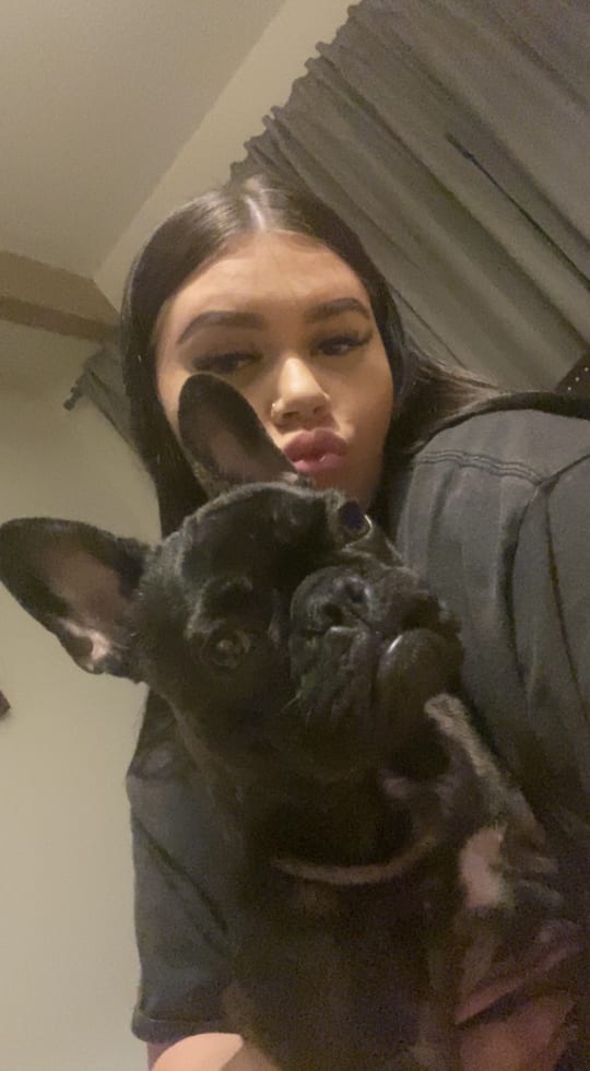 Photo in Sitter's gallery