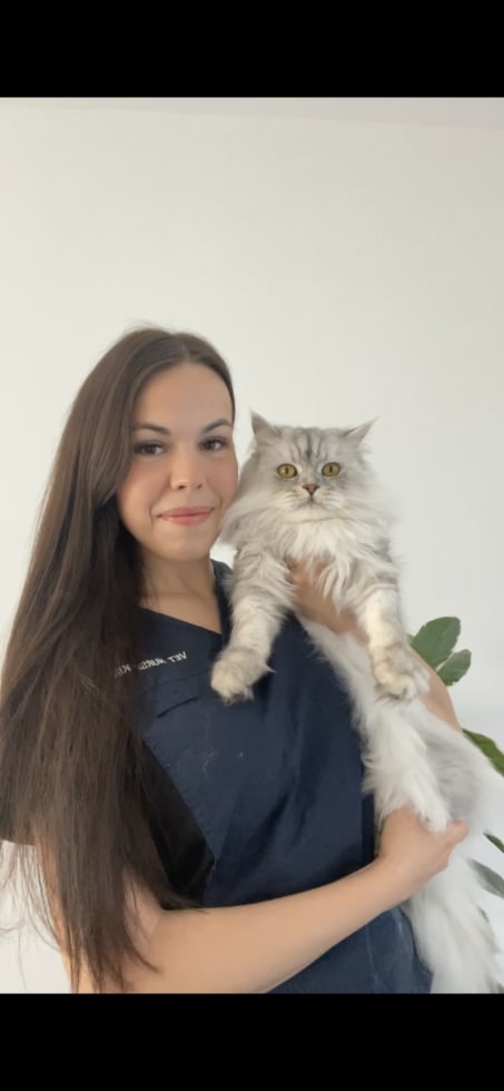 Photo in Sitter's gallery