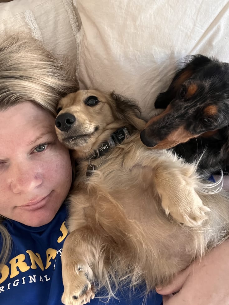 Photo in Sitter's gallery