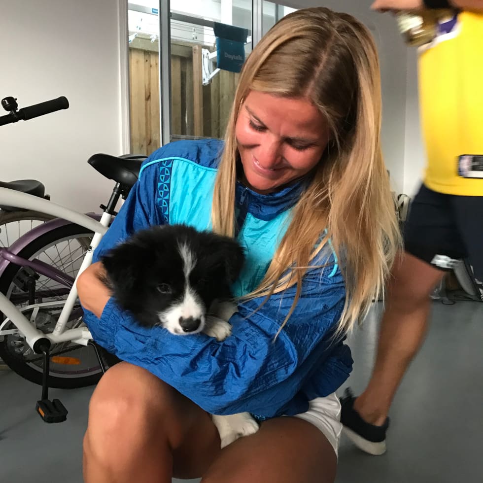 Photo in Sitter's gallery