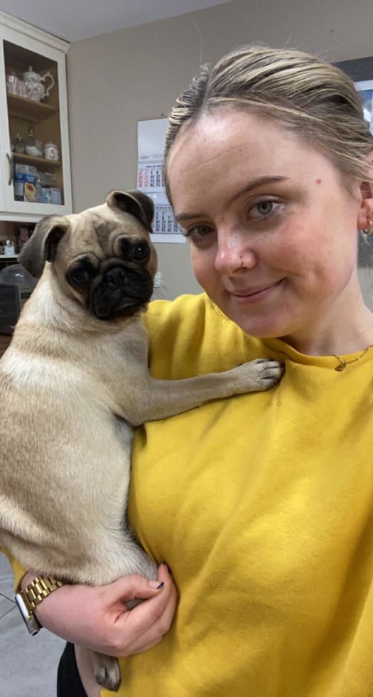 Photo in Sitter's gallery