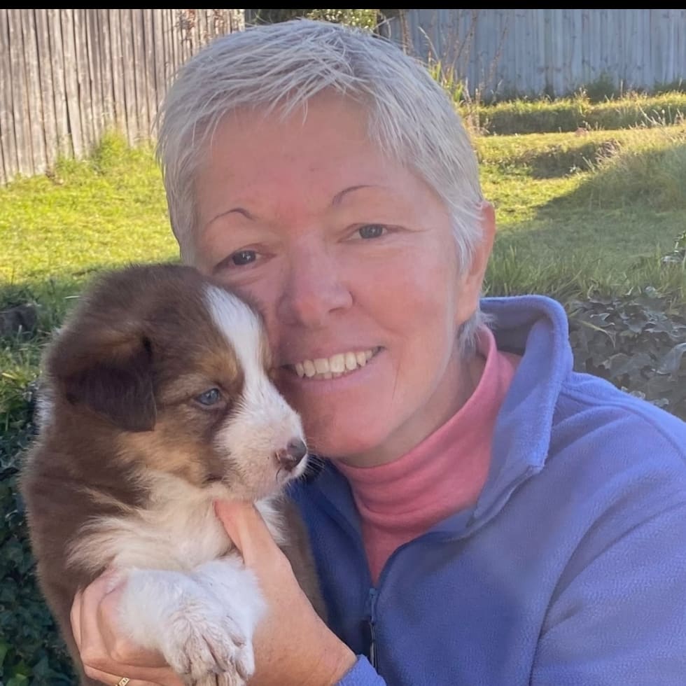 Photo in Sitter's gallery