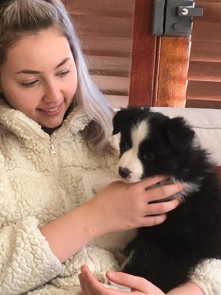 Photo in Sitter's gallery