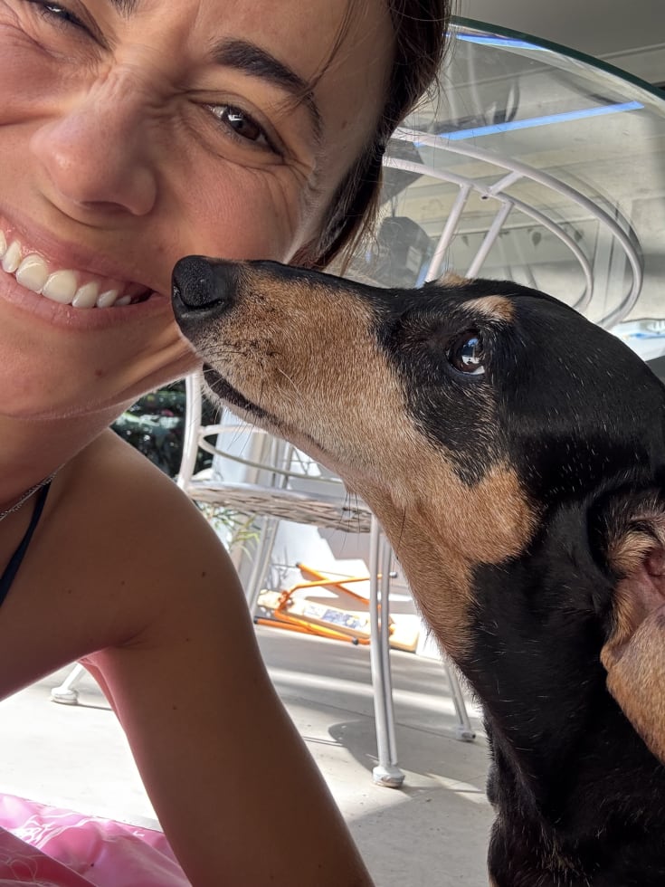 Photo in Sitter's gallery