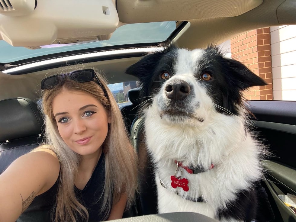 Photo in Sitter's gallery