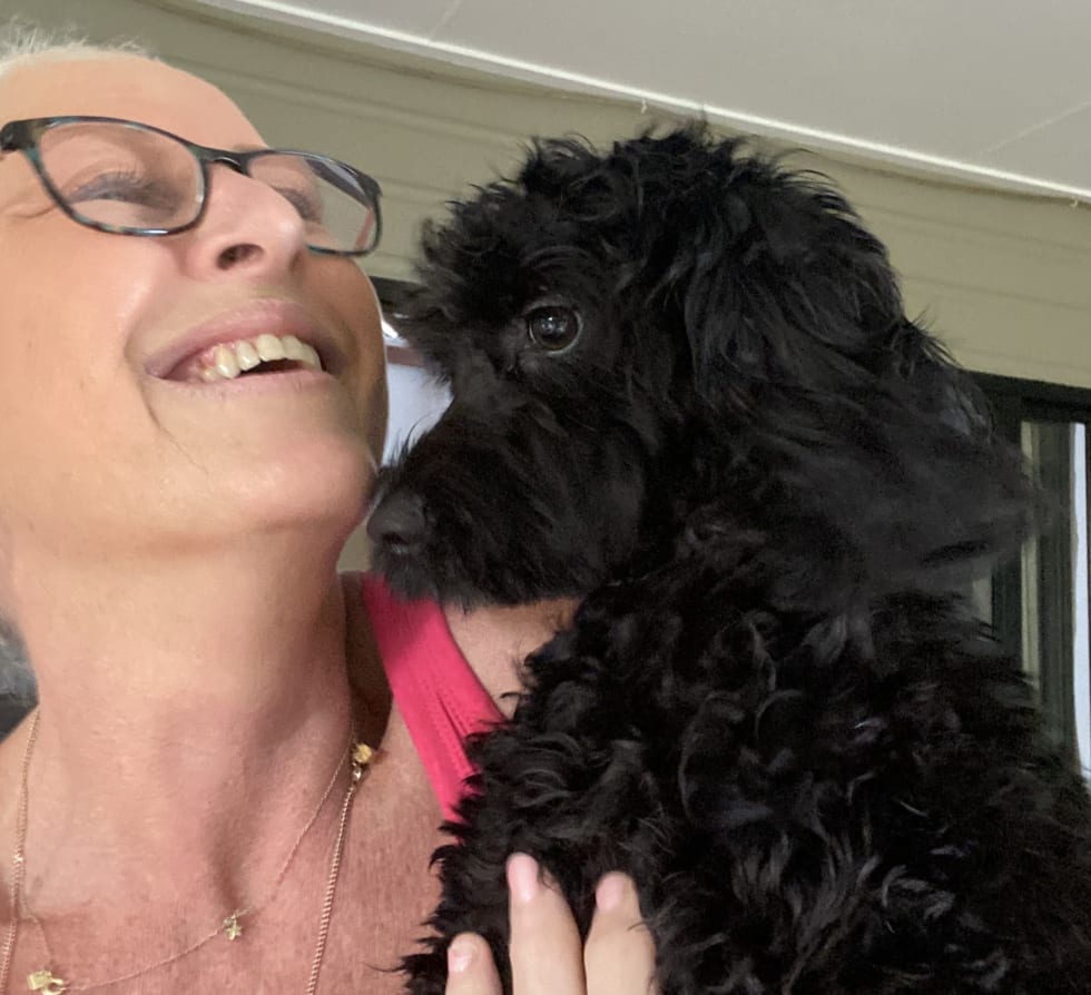 Photo in Sitter's gallery