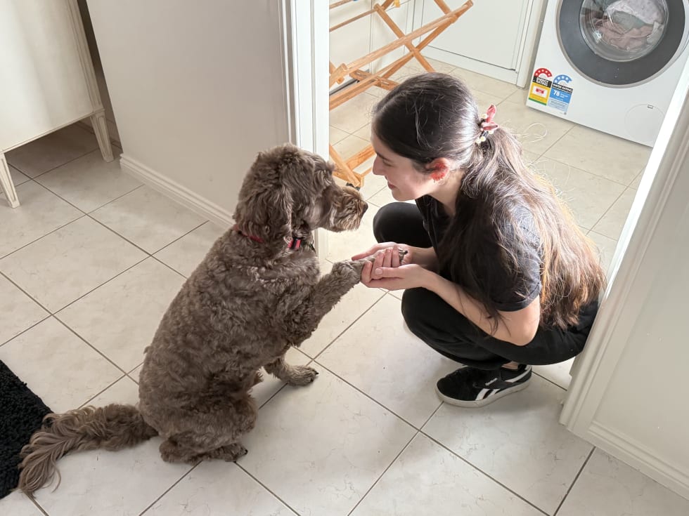 Photo in Sitter's gallery