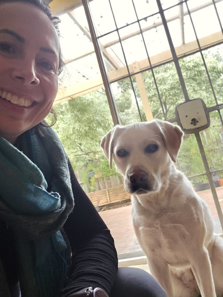 Photo in Sitter's gallery