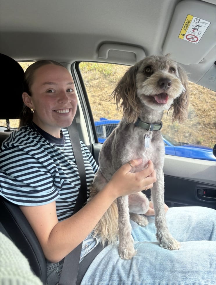 Photo in Sitter's gallery