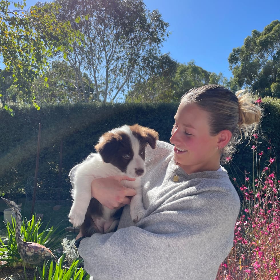 Photo in Sitter's gallery