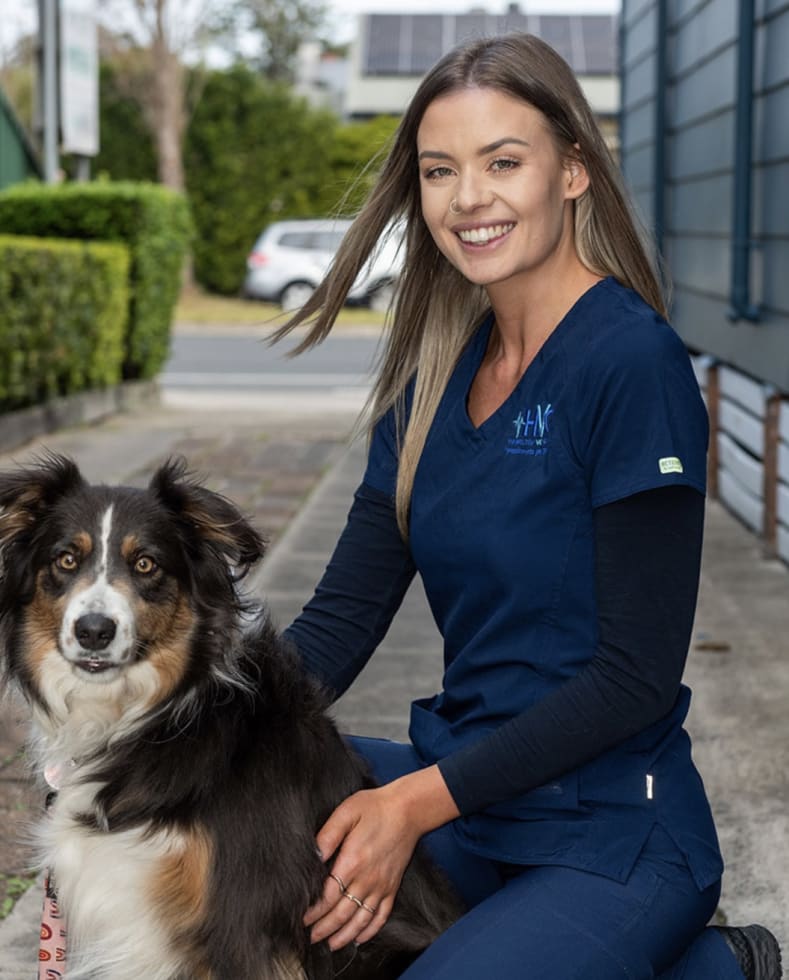 Photo in Sitter's gallery