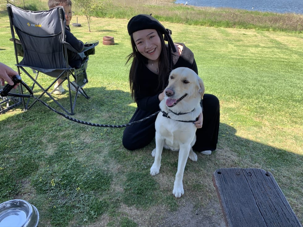 Photo in Sitter's gallery