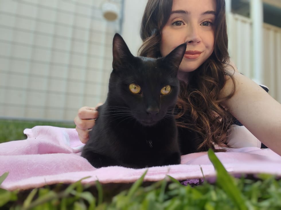 Photo in Sitter's gallery