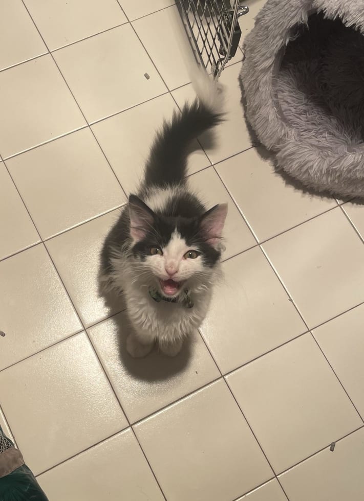 Photo in Sitter's gallery