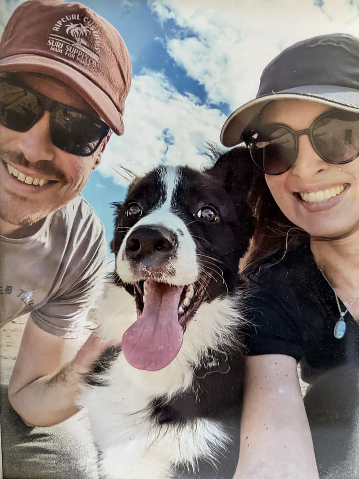 Photo in Sitter's gallery