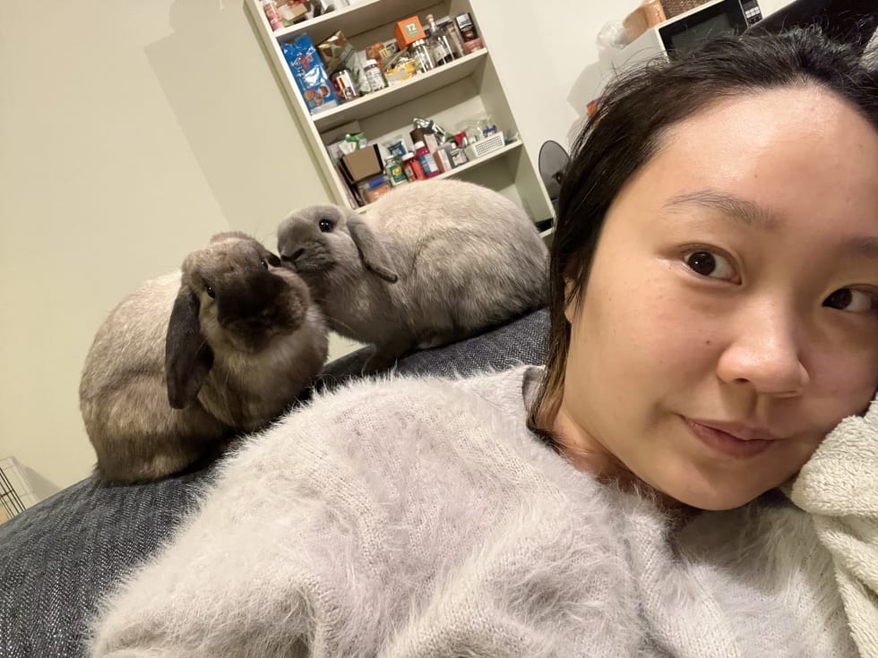 Photo in Sitter's gallery