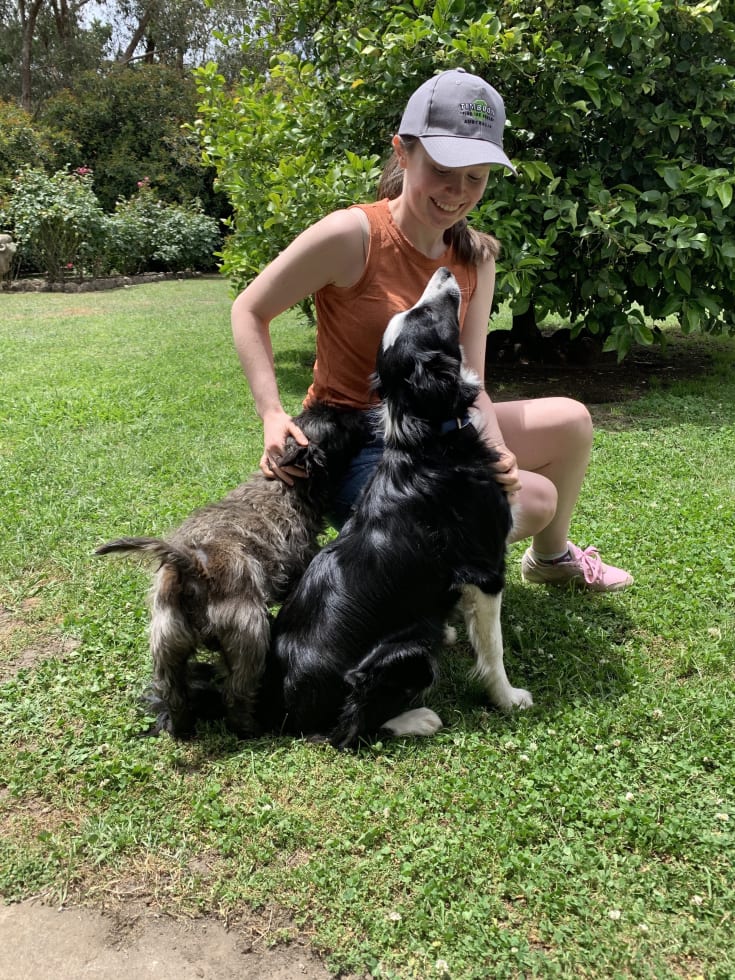 Photo in Sitter's gallery