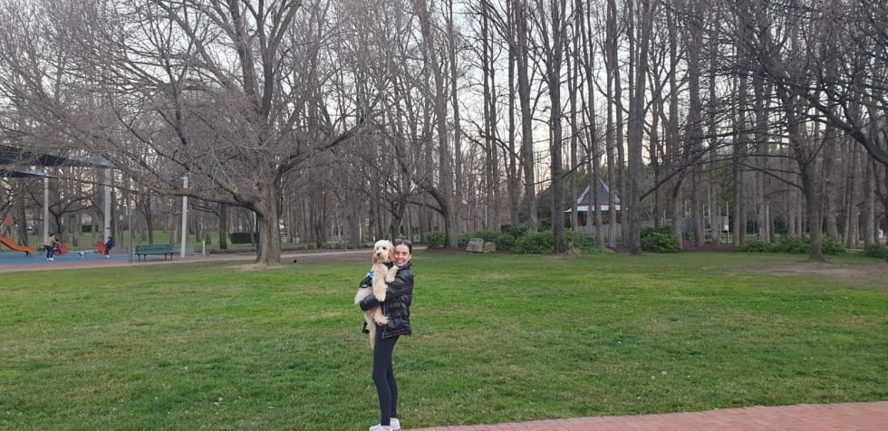 Photo in Sitter's gallery