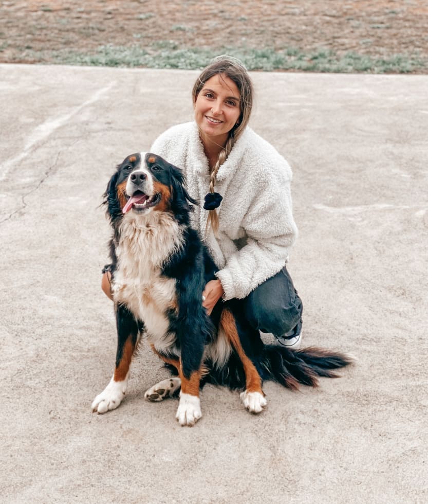 Photo in Sitter's gallery