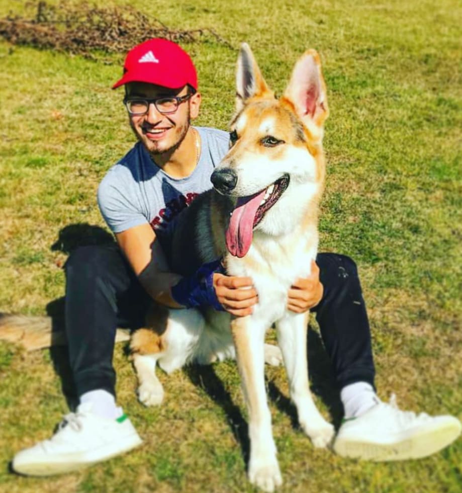 Photo in Sitter's gallery