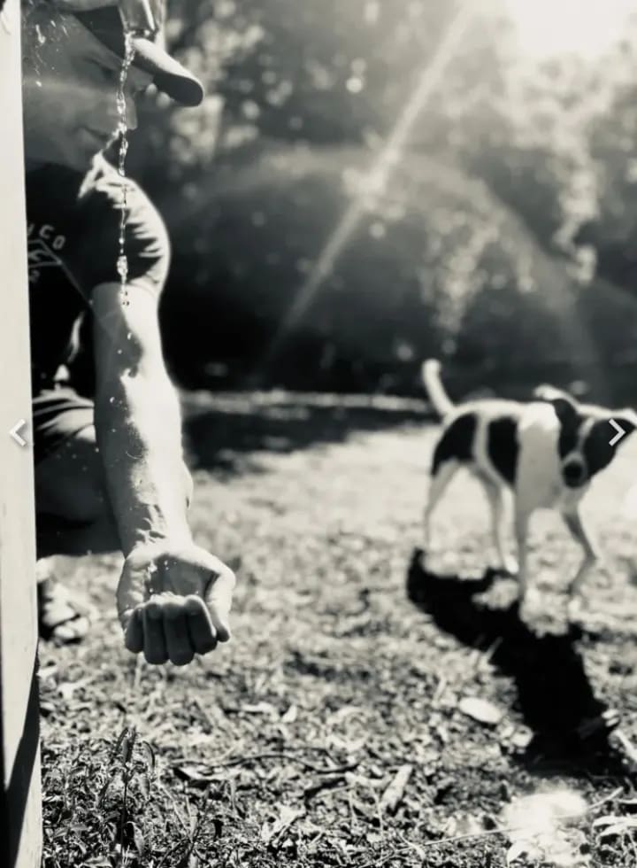 Photo in Sitter's gallery