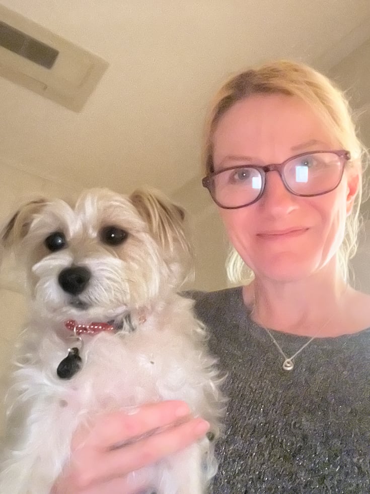 Photo in Sitter's gallery