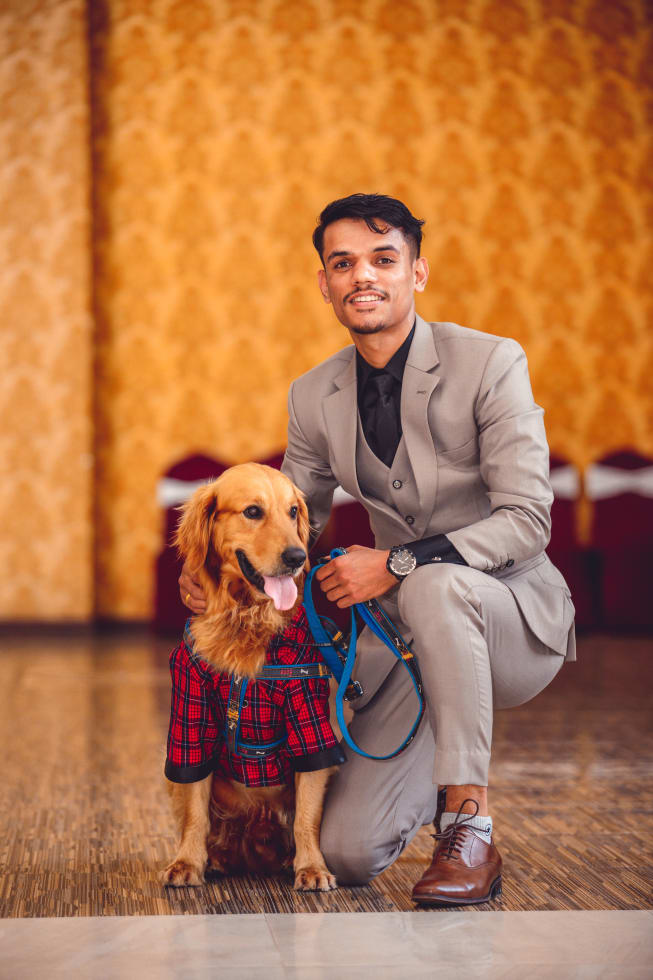 Photo in Sitter's gallery