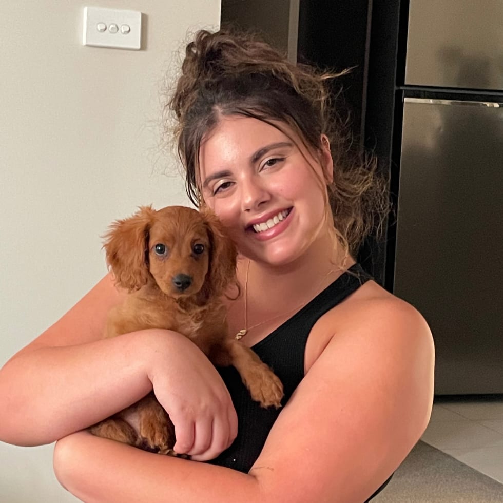 Photo in Sitter's gallery