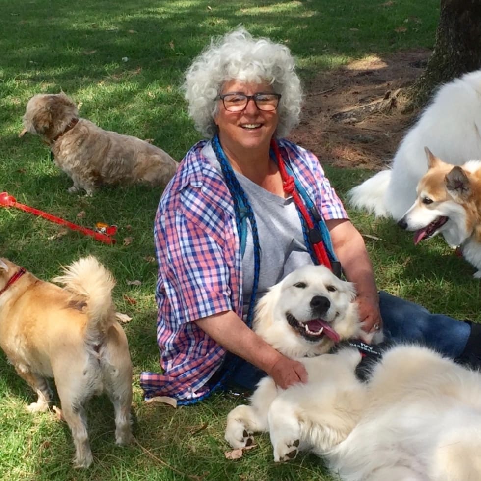 Photo in Sitter's gallery