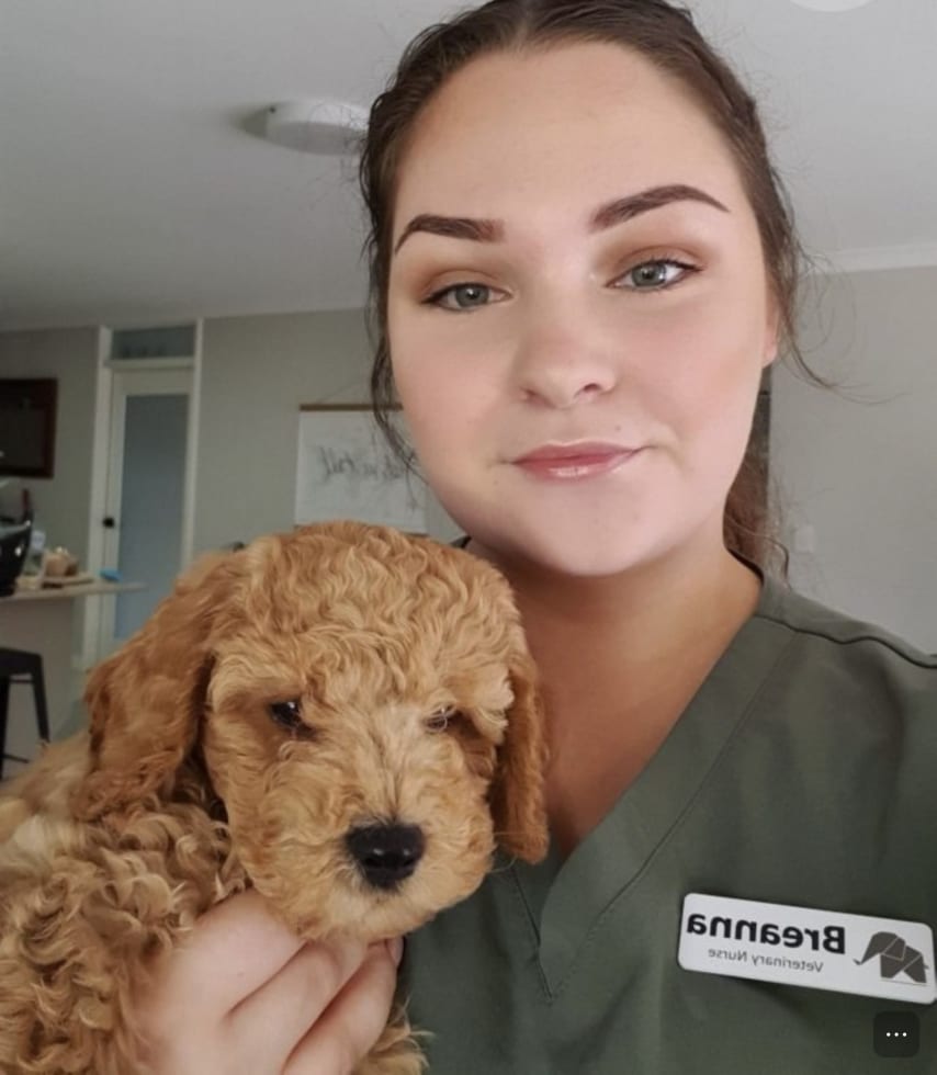 Photo in Sitter's gallery