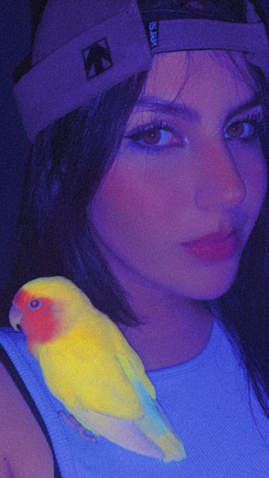 Photo in Sitter's gallery