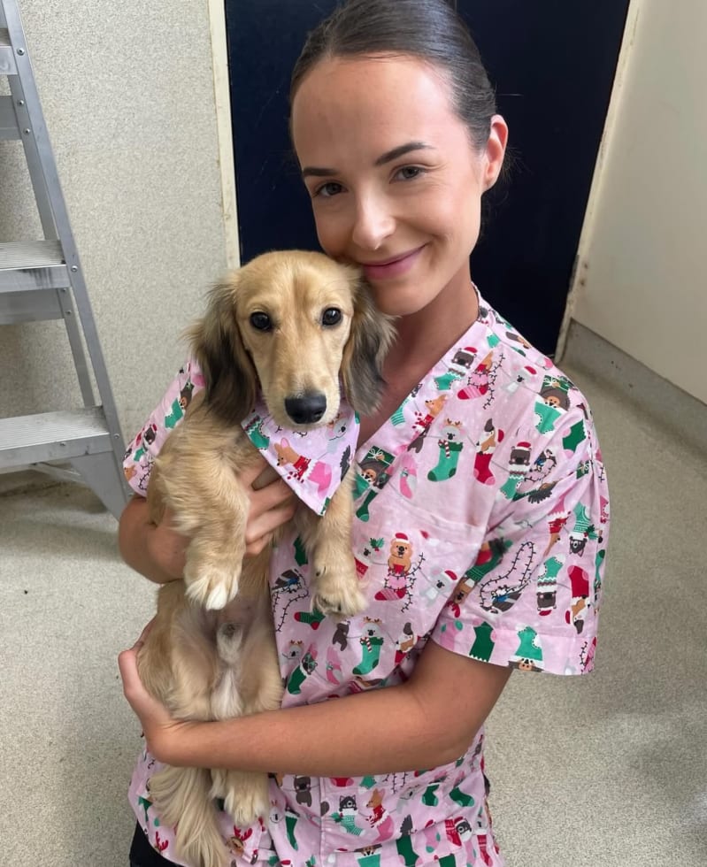 Photo in Sitter's gallery