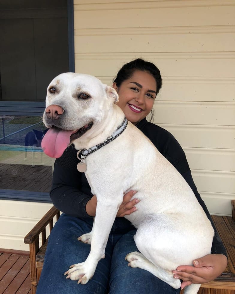 Photo in Sitter's gallery