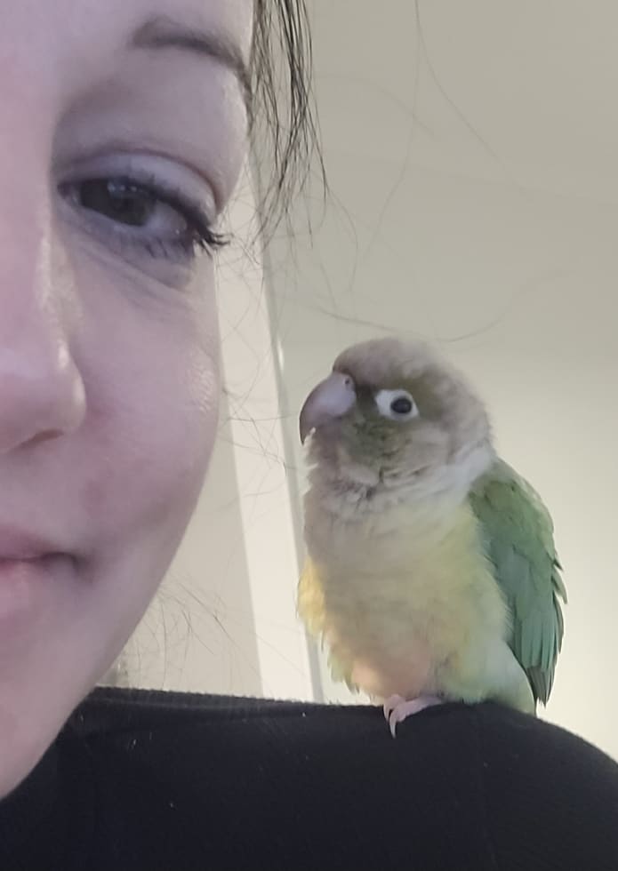 Photo in Sitter's gallery