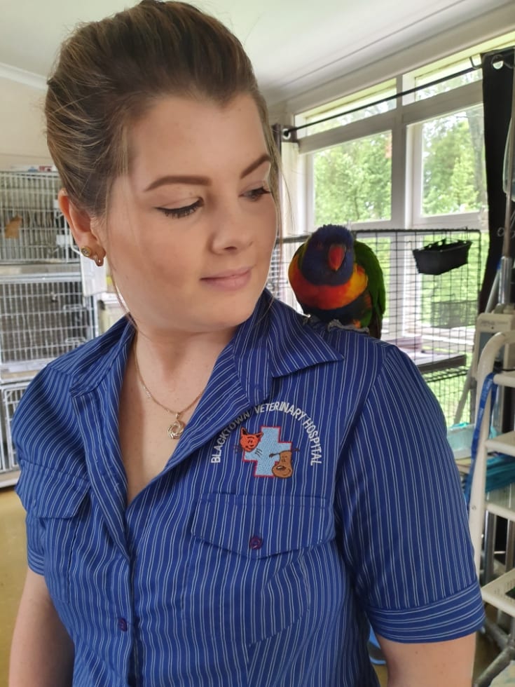 Photo in Sitter's gallery