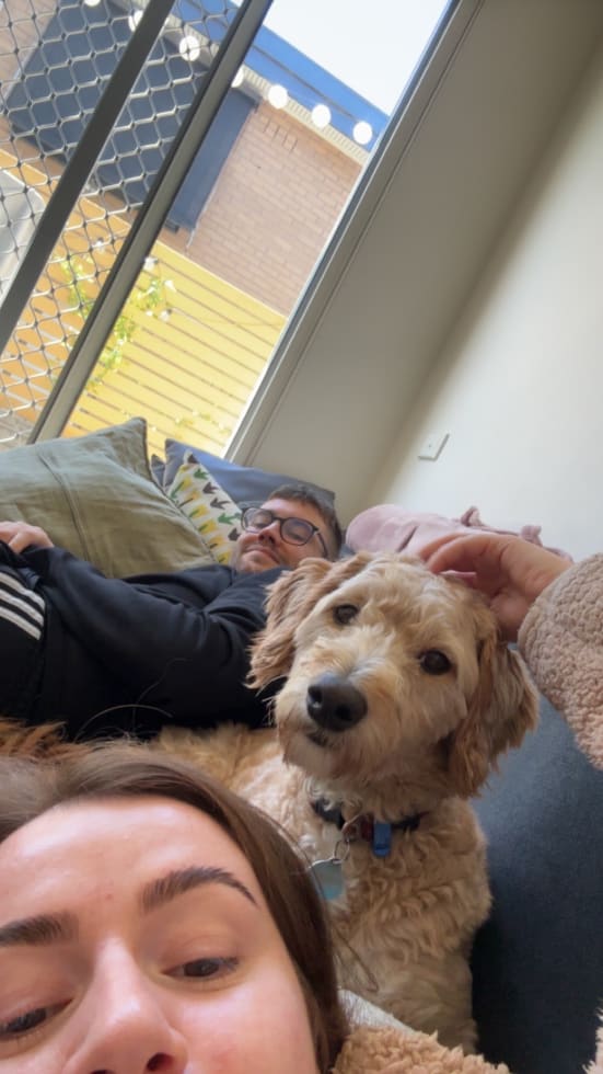 Photo in Sitter's gallery