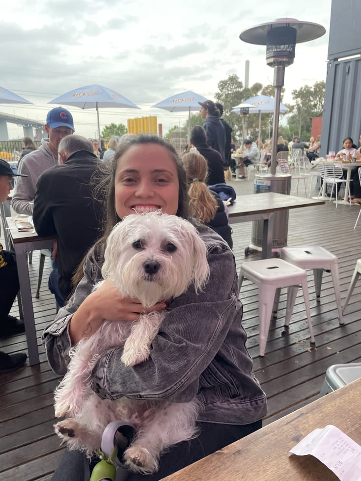 Photo in Sitter's gallery