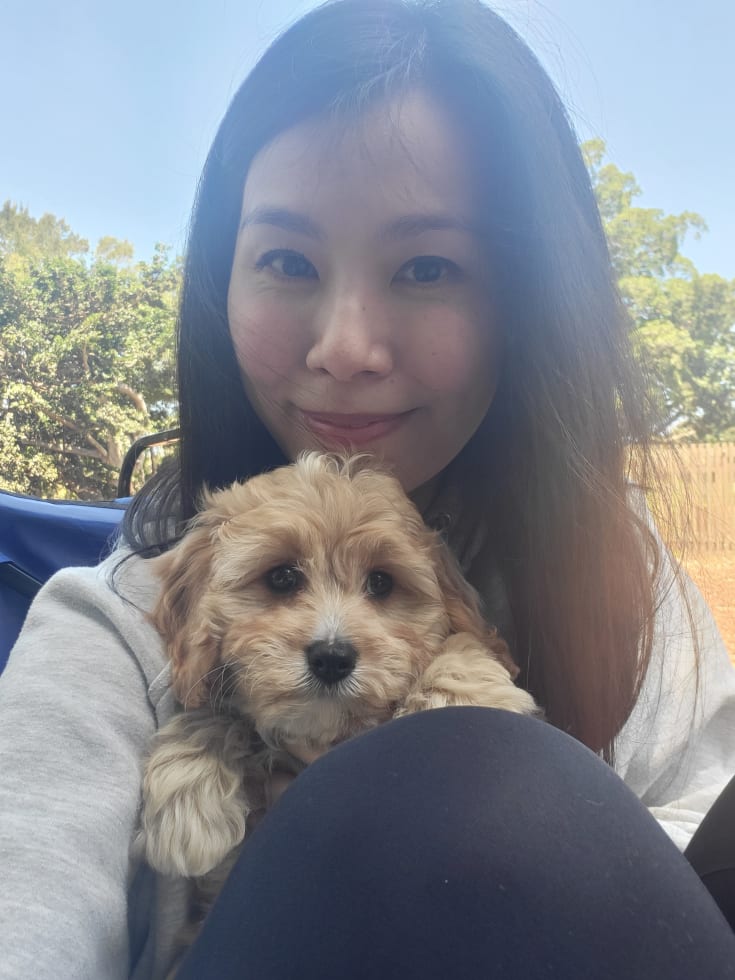 Photo in Sitter's gallery