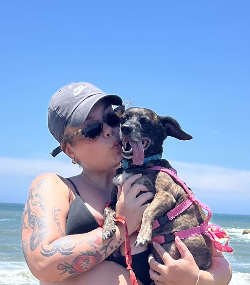 Photo in Sitter's gallery