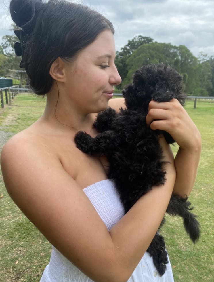 Photo in Sitter's gallery